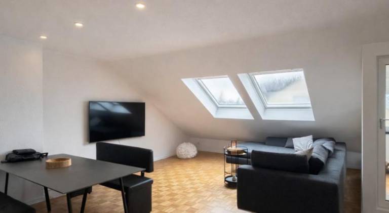 Pleasant apartment | Dogs allowed in Singen