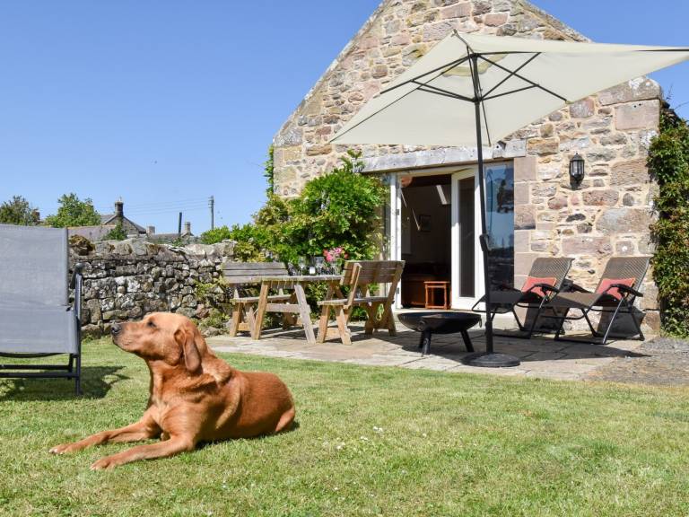 Cottage Wooler
