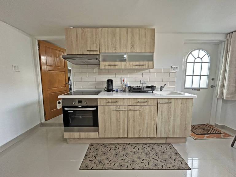 Apartment Christ Church