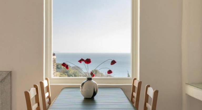 Charming villa with private pool, yard & grill | Close to the beach | Perfect for remote work | Pet-friendly in Andros