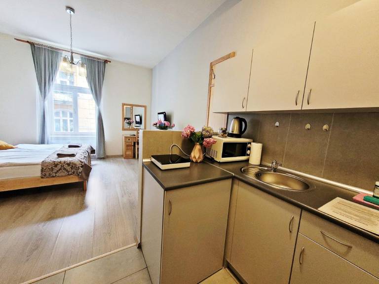Serviced apartment | Near Main Square | Pets allowed — photo 2