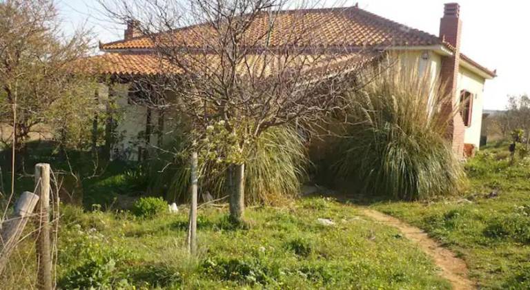 House with terrace in Lemnos