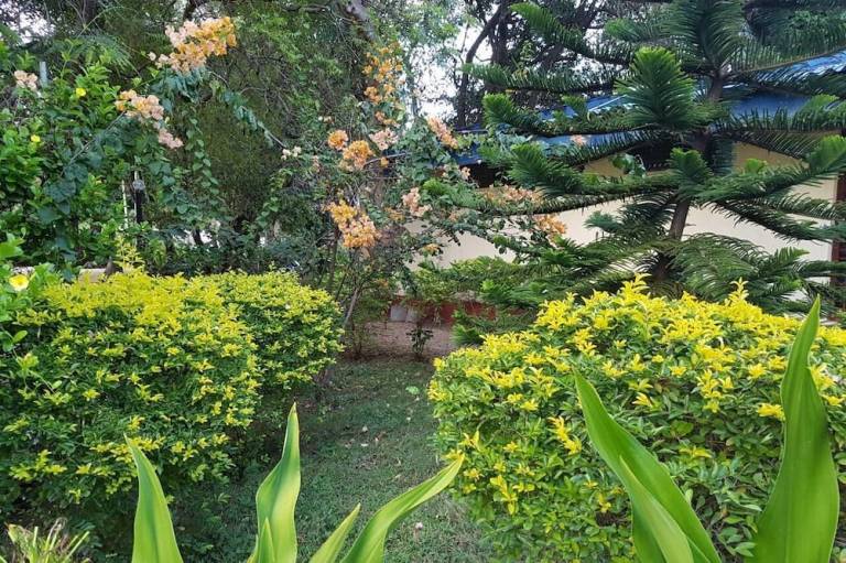 foto14