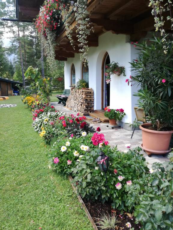 foto7