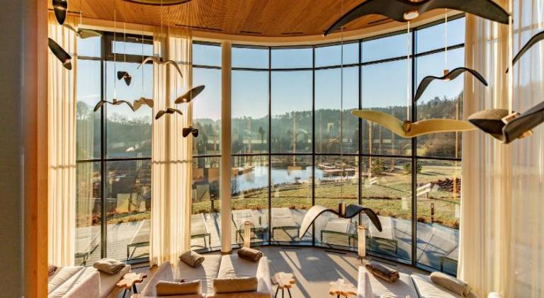 Pfalzblick Wald Spa Resort — photo 4