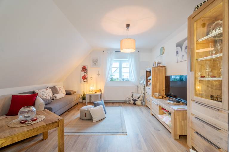 Apartment "Onkel Franz" – 2 Adults, 2 Children, 1 Pet Allowed — photo 3
