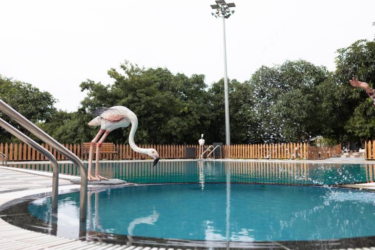 Freesia Resort by Express Inn