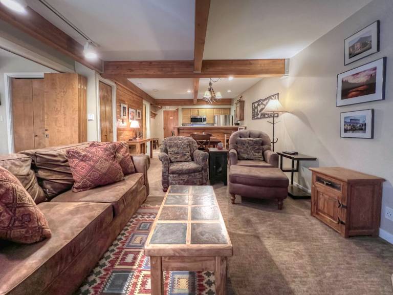 Condo Crested Butte