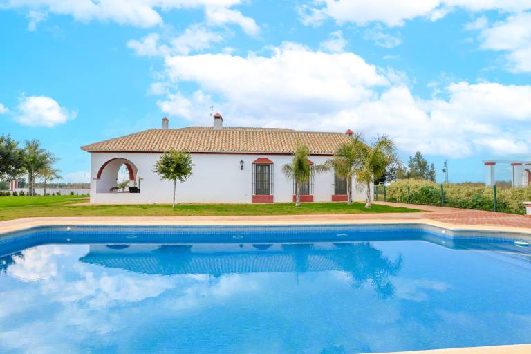 Apartamento  Torrepalma
