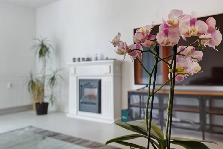 Fully equipped pleasant rental apartment | Perfect for remote work | Pet-friendly — photo 4