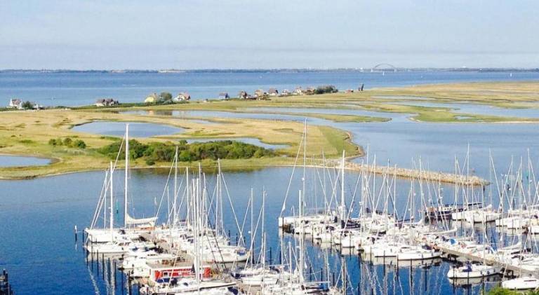 Wonderful holiday apartment | Beach nearby | Pet-friendly — photo 4