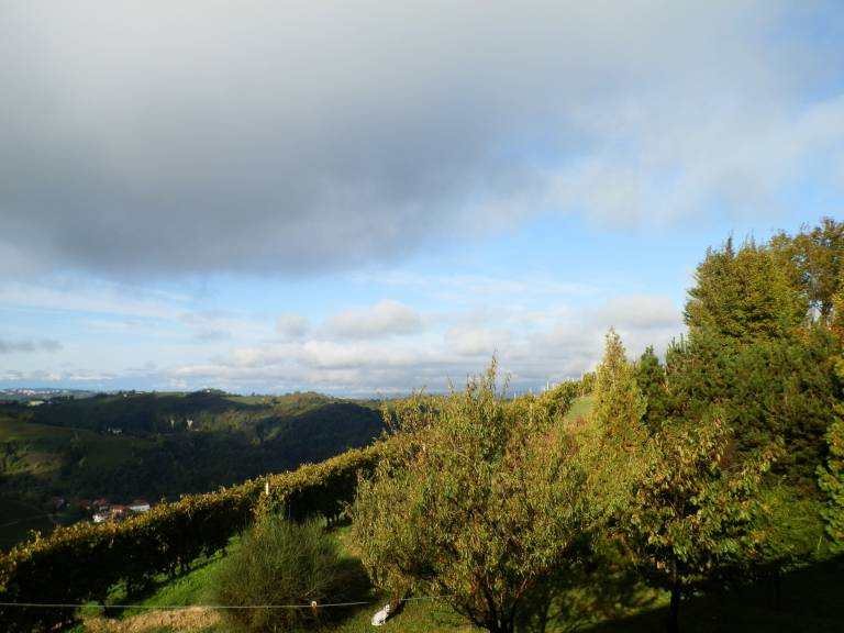 foto37