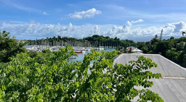 Fully equipped nice apartment with patio & yard | Suitable for remote work | Pet-friendly in Le Gosier