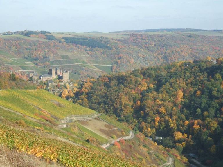 foto14