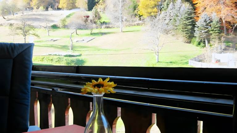 Ferienwohnung Bad Wildbad