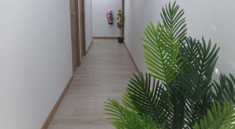Hostal el Olivo — photo 3