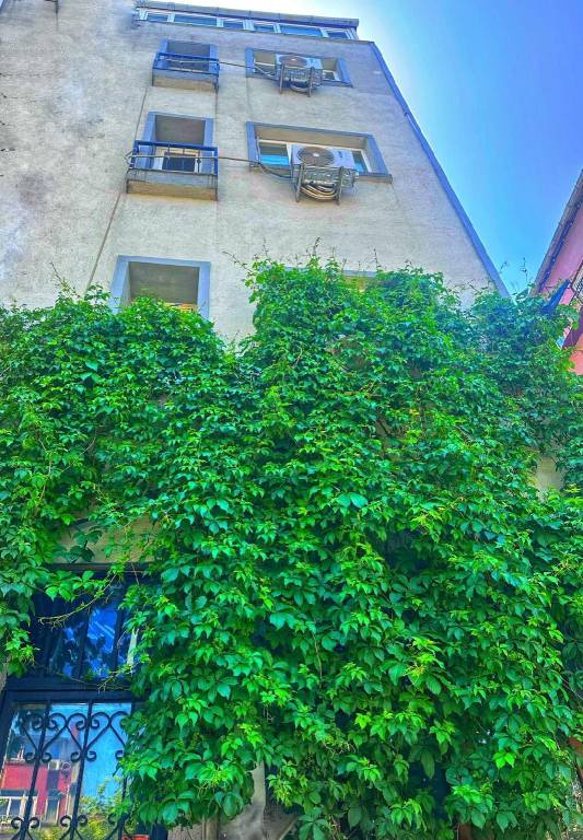 House | Close to Taksim Square | Dogs allowed — photo 5