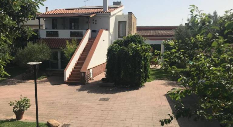 foto2