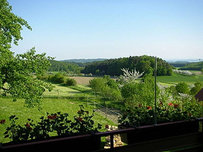 foto19