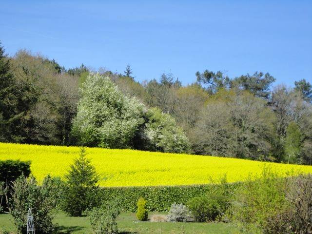 Vacation home with garden & barbecue | Nature view — photo 4