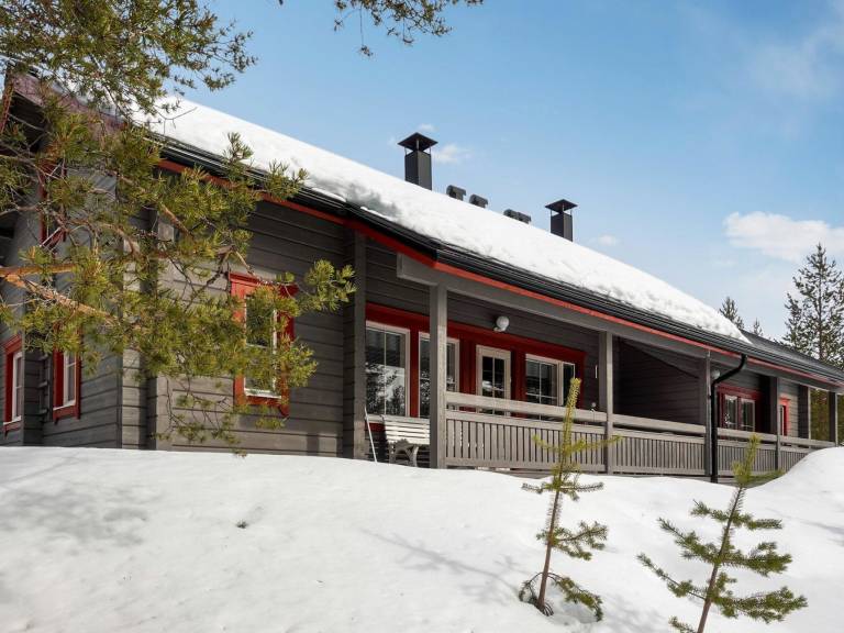 Vacation home with sauna — photo 2