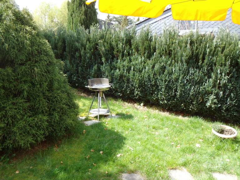 foto19