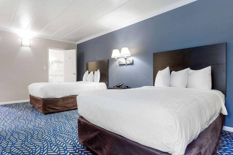 Econo Lodge Hicksville