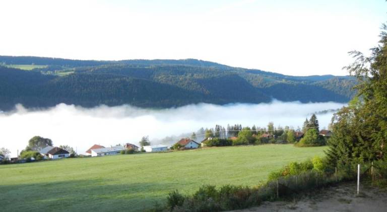 foto39