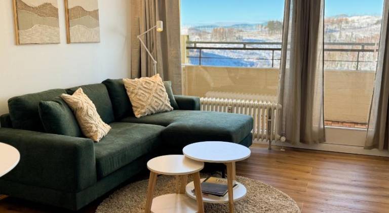Beautiful apartment with sauna & pool | Dogs allowed in Braunlage