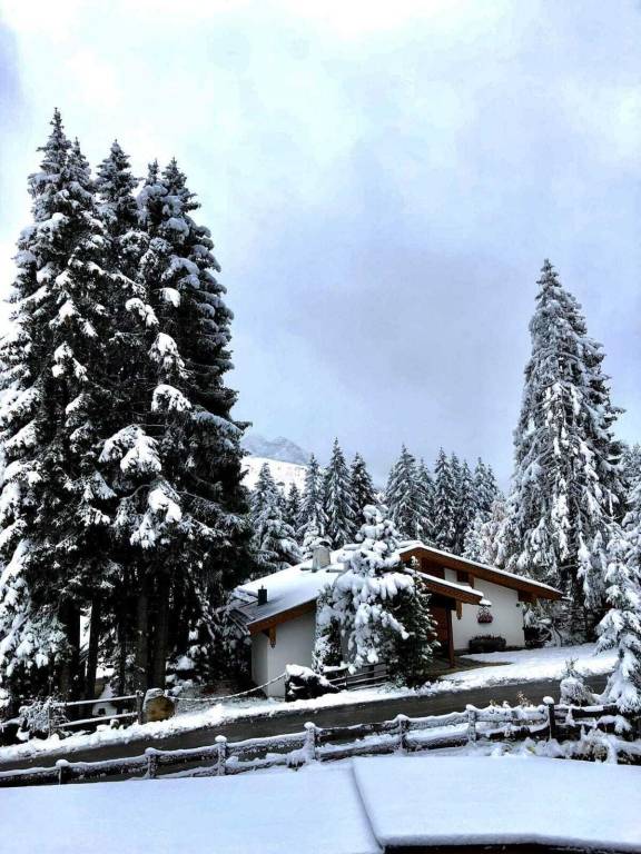 Ferienwohnung Wald im Pinzgau