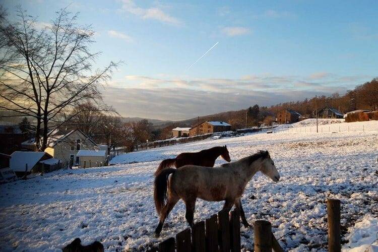 foto45