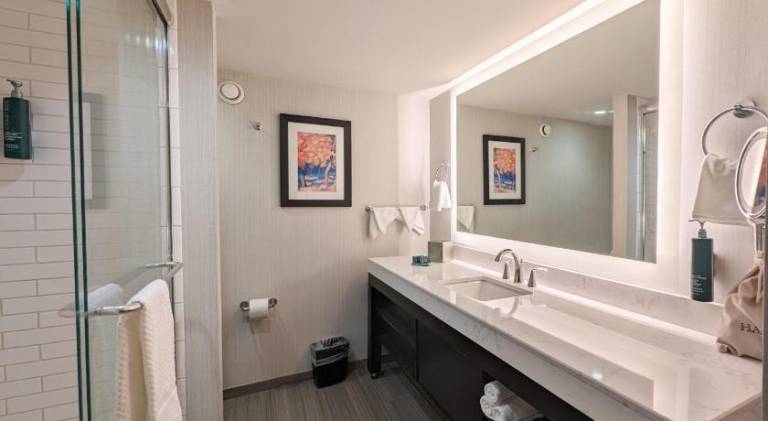 DoubleTree by Hilton Hotel Oak Ridge-Knoxville — photo 2