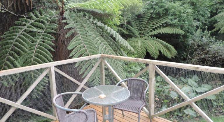 Waiheke Island Punga Lodge in Auckland