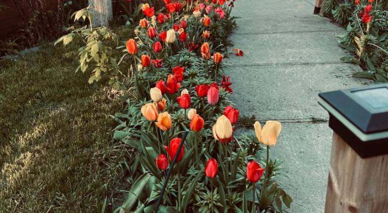 foto17