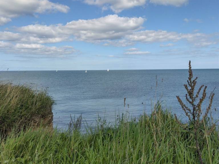 foto14
