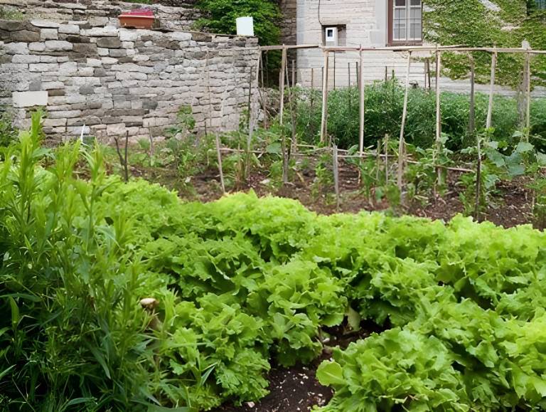 foto24