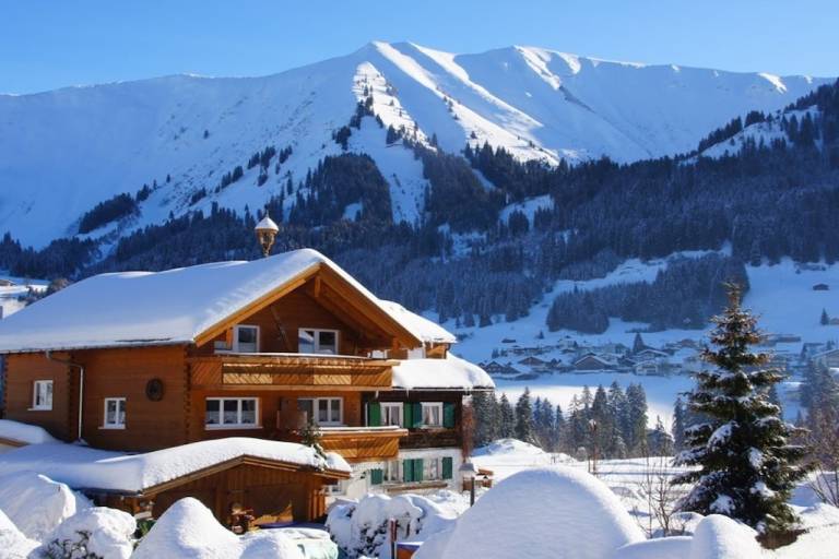 Ferienhaus mit Hund in Gemeinde Mittelberg, Riezlern f&uuml;r max. 4 Personen