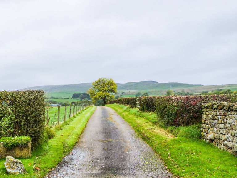 Cottage  Low Bentham