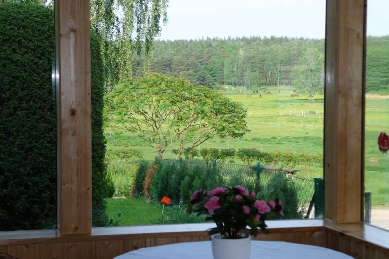 Ferienhaus Flecken Zechlin