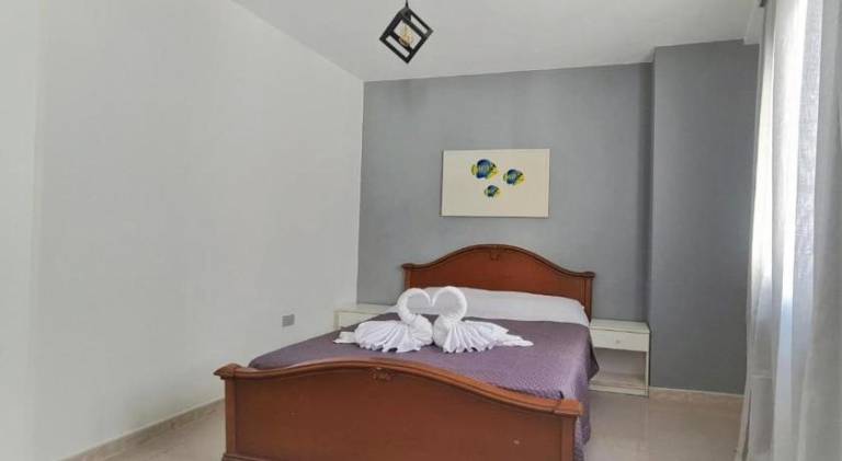 Pleasant house | Pets allowed in Siniscola
