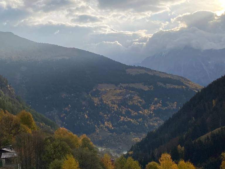 foto31
