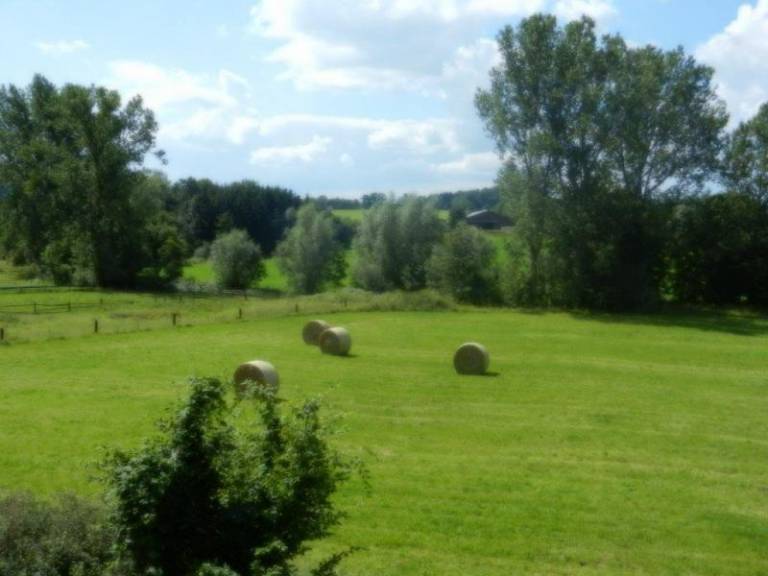 foto10