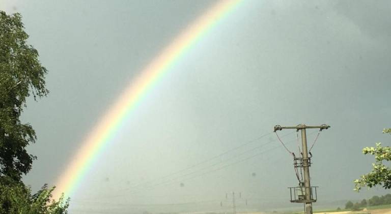 Ferienwohnung Bad Rappenau