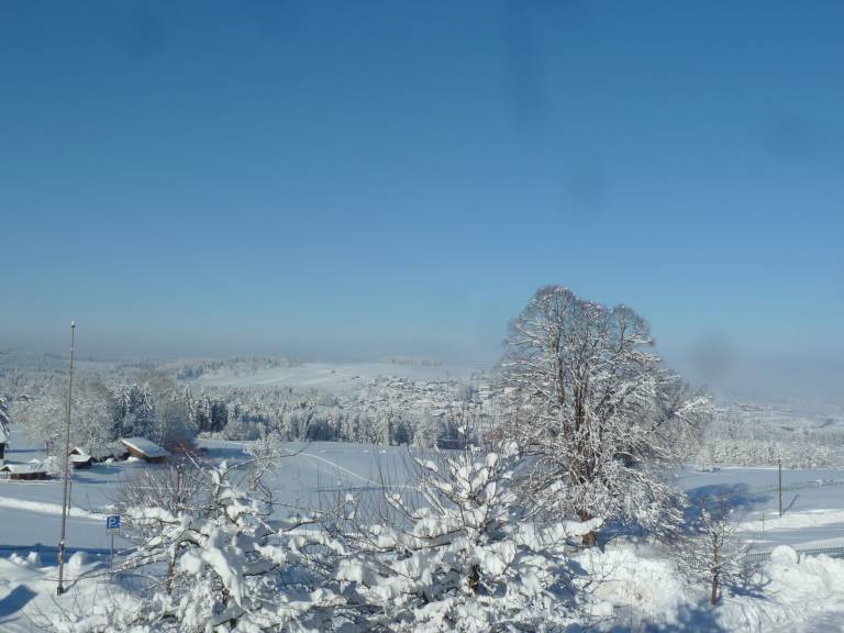 foto6