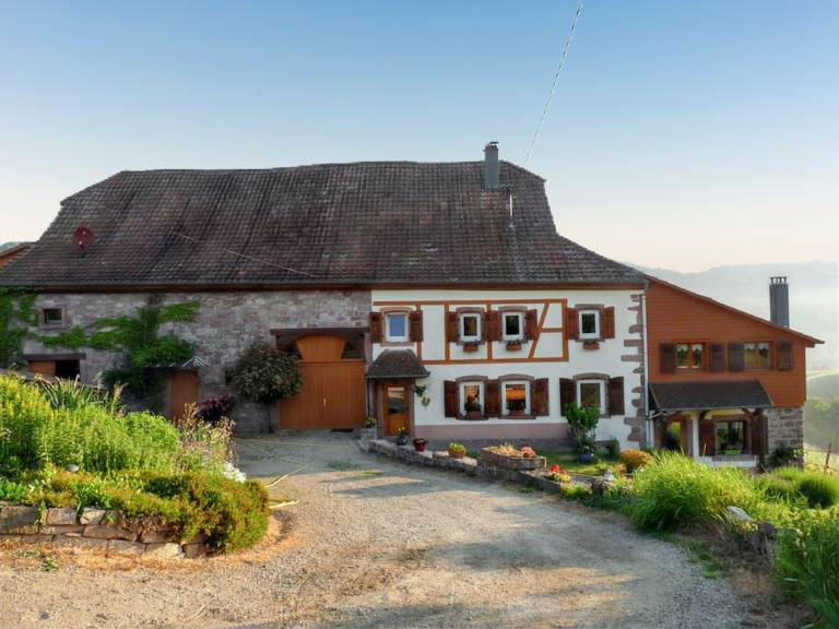 foto1