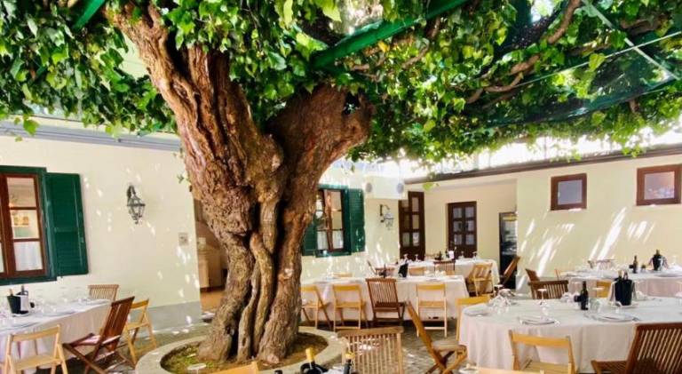 Antica Locanda al Gelso in Gorizia