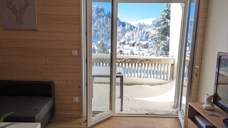 Appartement Le Lioran