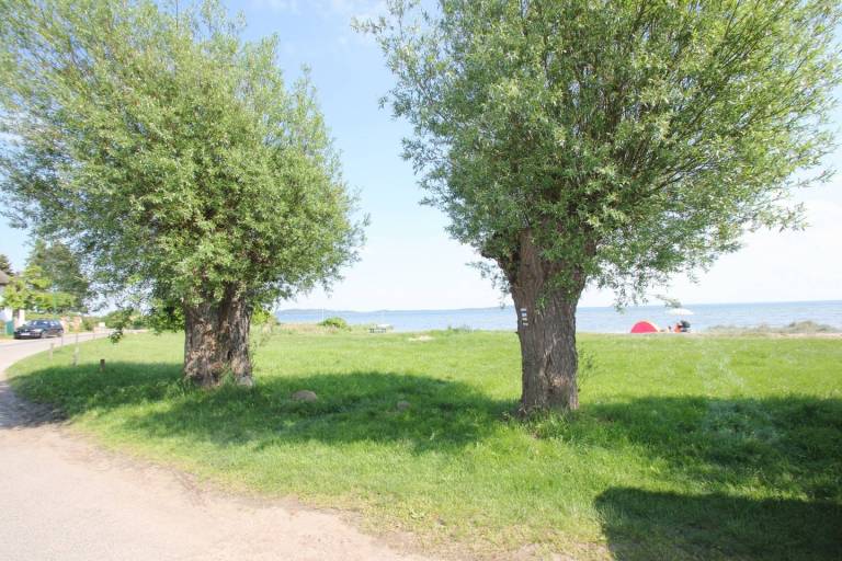 foto19