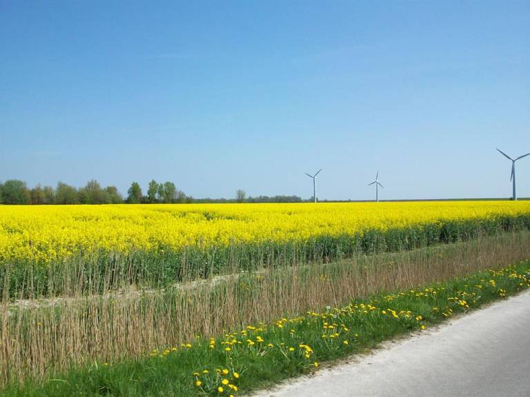 foto4