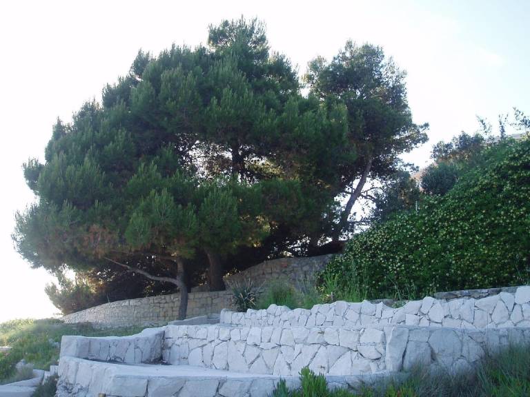 foto11